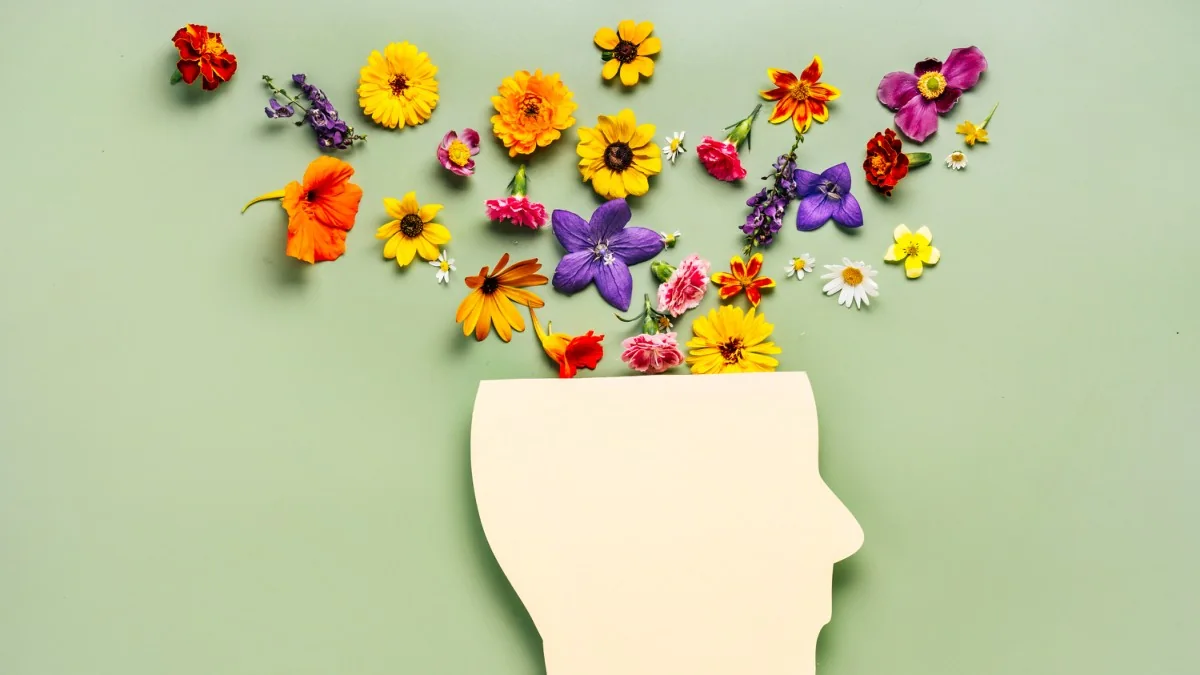 Imagen del portafolio del curso Balance Trabajo, Vida Personal y Bienestar Integral — NCh 3262