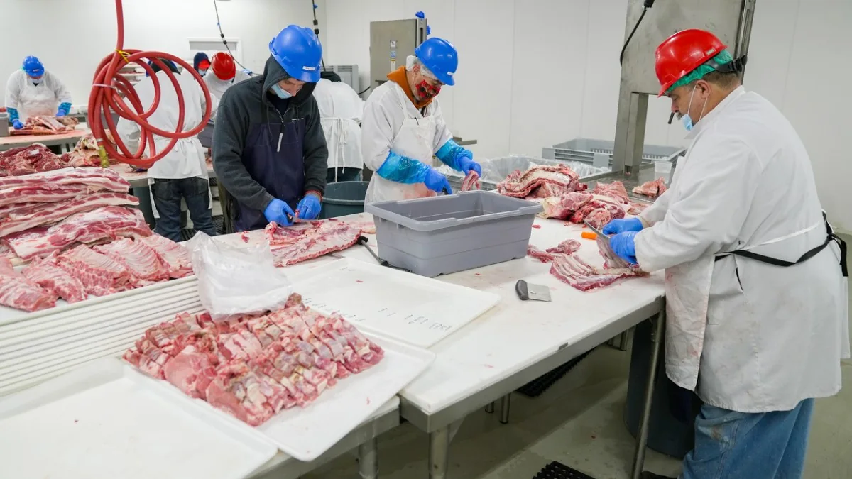 Imagen del portafolio del curso Food Defense